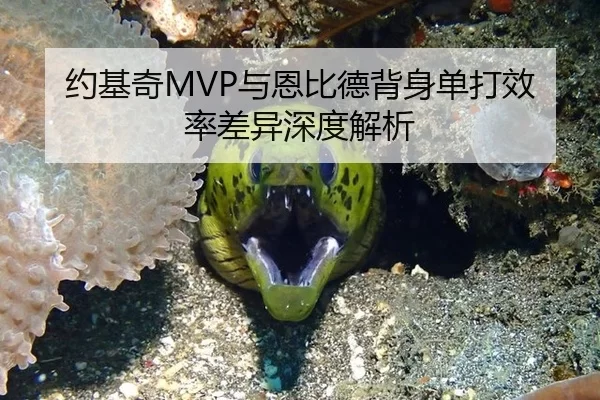 约基奇MVP与恩比德背身单打效率差异深度解析