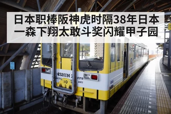 日本职棒阪神虎时隔38年日本一森下翔太敢斗奖闪耀甲子园